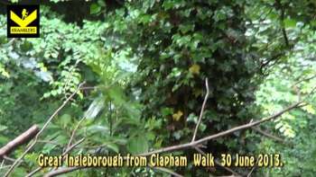 Great Ingleborough from Clapham Walk 30 June 2013.
