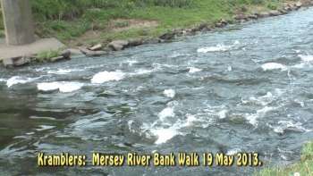 Mersey River Bank Walk 19 May 2013.
